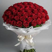 Букет 101 Красная роза Блэк Мэджик в Глаголево