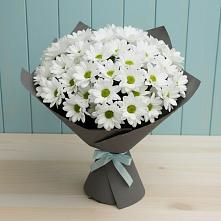 Букет цветов из:  Хризантемы #REPLACE_PRED# Глаголево