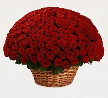 Премиум букет из: Розы в Глаголево