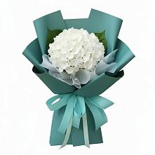 Букет цветов из:  Гортензия #REPLACE_PRED# Глаголево